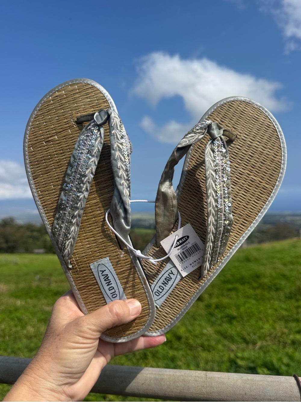 Old navy Sequin and seagrass Asian inspired flip-flops sandals  Silver 10